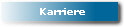Karriere